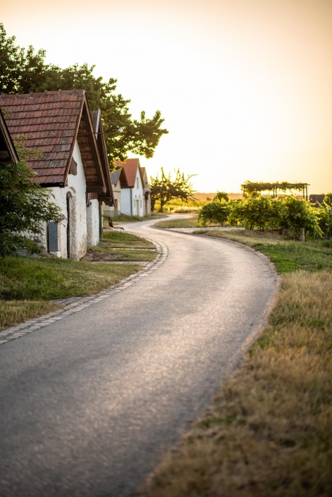 Schmankerlheuriger Höflein Hochzeit Fotos Burgenland Bruck an der Leitha Niederösterreich Weinberge